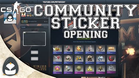 Valve released a new sticker capsule with 65 different Community-created stickers. . Community sticker capsule 1